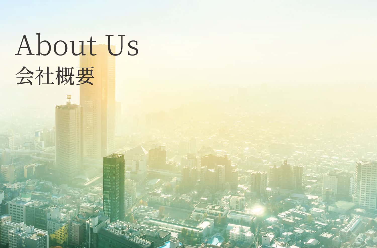 About Us 会社概要